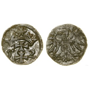 Polska, denar, 1552, Gdańsk
