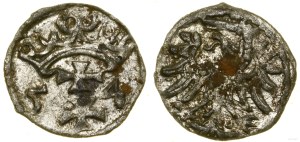Poland, denarius, 1554, Gdansk