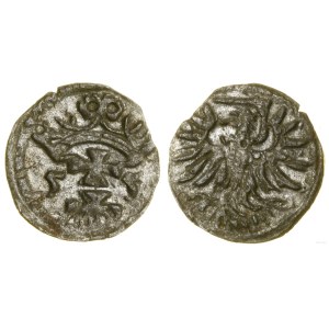Polska, denar, 1555, Gdańsk