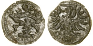 Poland, denarius, 1555, Gdansk