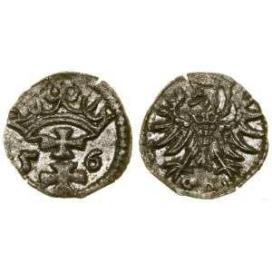 Polska, denar, 1556, Gdańsk