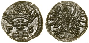 Poland, denarius, 1556, Gdansk
