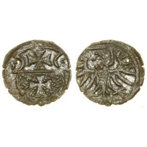 Polska, denar, 1555, Elbląg