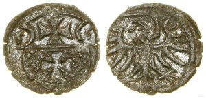 Poland, denarius, 1555, Elbląg