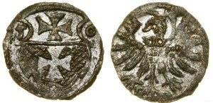 Poland, denarius, 1556, Elbląg