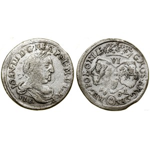 Polska, szóstak, 1681 TLB, Bydgoszcz