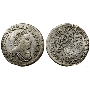 Polska, szóstak, 1683 TLB, Bydgoszcz