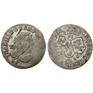 Polska, szóstak, 1684 SP, Bydgoszcz