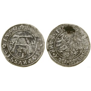 Ducal Prussia (1525-1657), shilling, 1530, Königsberg