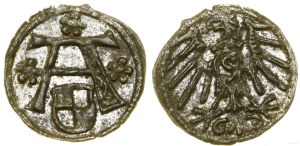 Ducal Prussia (1525-1657), denarius, no date, Königsberg