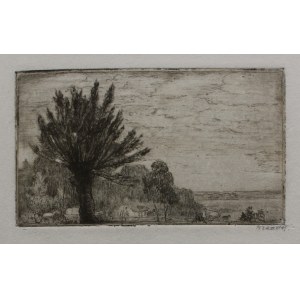 Konstanty Brandel, Wierzba, 1913