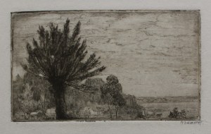 Konstanty Brandel, Willow, 1913