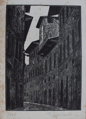 Tadeusz Cieślewski son, Palazzo Mozzi(1928, from the series 