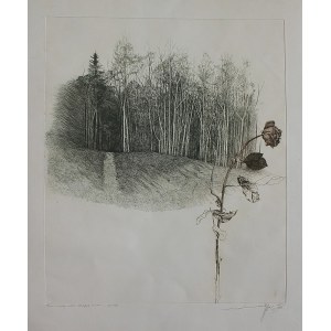 Leszek Rózga, March Landscape with a Rose, 1982