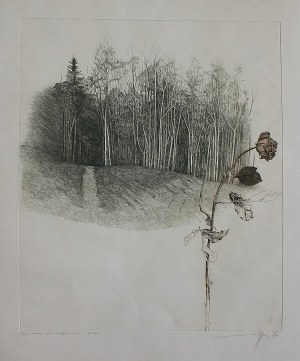 Leszek Rózga, March Landscape with a Rose, 1982