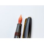 Watermans 502 gold nib pen