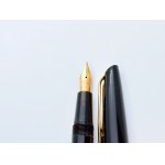 Watermans L.2. gold nib pen