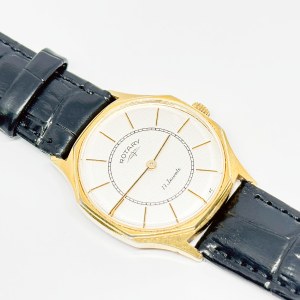 Men's Rotary 17 Jewels 31 mm watch
