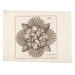 JOSEPH FURTTENBACH (CZECH / BOHEMIAN 1591 - 1667) - A collection of architectural illustrations and plans from the works of Joseph Furttenbach (Architectura civilis, martialis, recreationis, privata)