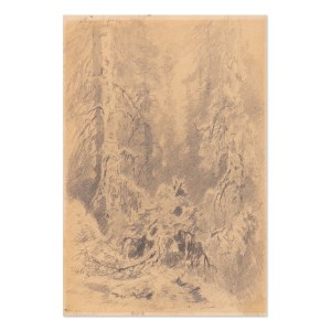 JULIUS EDUARD MAŘÁK (CZECH / BOHEMIAN 1832 - 1899) - Interior of the forest (double-sided drawing)