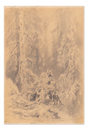 JULIUS EDUARD MAŘÁK (CZECH / BOHEMIAN 1832 - 1899) - Interior of the forest (double-sided drawing)