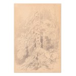 JULIUS EDUARD MAŘÁK (CZECH / BOHEMIAN 1832 - 1899) - Interior of the forest (double-sided drawing)