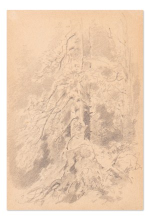 JULIUS EDUARD MAŘÁK (CZECH / BOHEMIAN 1832 - 1899) - Interior of the forest (double-sided drawing)