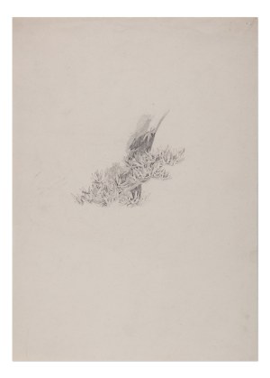 JULIUS EDUARD MAŘÁK (CZECH / BOHEMIAN 1832 - 1899) - Leaf study