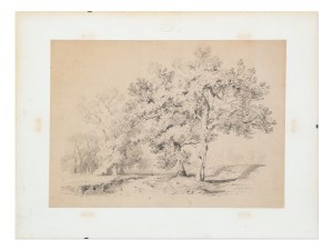 ALEXANDRE CALAME (SWITZERLAND / SWISS 1810 - 1864) - Landscape with trees