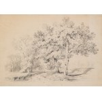 ALEXANDRE CALAME (SWITZERLAND / SWISS 1810 - 1864) - Landscape with trees