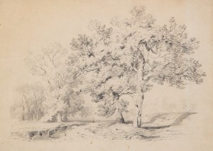 ALEXANDRE CALAME (SWITZERLAND / SWISS 1810 - 1864) - Landscape with trees