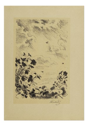 MAX ŠVABINSKÝ (CZECH / BOHEMIAN 1873 - 1962) - Petunia