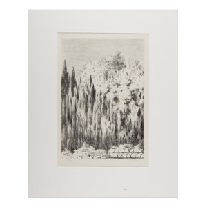 FRANTIŠEK KOBLIHA (CZECH / BOHEMIAN 1877 - 1962) - Untitled
