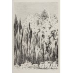 FRANTIŠEK KOBLIHA (CZECH / BOHEMIAN 1877 - 1962) - Untitled