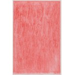 TOMÁŠ RAJLICH (CZECH / BOHEMIAN 1940*) - Untitled (3 sheets)