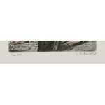 JINDŘICH PILEČEK (CZECH / BOHEMIAN 1944 - 2002) - Bookplate Z.P.