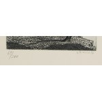 JINDŘICH PILEČEK (CZECH / BOHEMIAN 1944 - 2002) - Airships