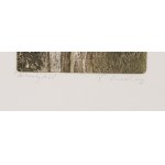 LADISLAV KUKLÍK (CZECH / BOHEMIAN 1947*) - 3 graphic sheets