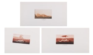 LADISLAV KUKLÍK (CZECH / BOHEMIAN 1947*) - Lying female nude - 3 graphic sheets