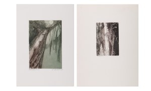 LADISLAV KUKLÍK (CZECH / BOHEMIAN 1947*) - 2 graphic sheets