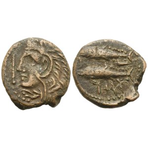 Celtic. Iberia, Agadir, Semis, I century BC; Æ (5,30 g; 20,5 mm)