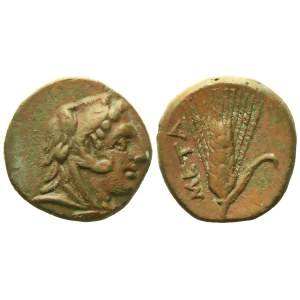 Lucania, Metapontion (c. 300-250 BC), Æ (2,60 g; 14,2 mm)