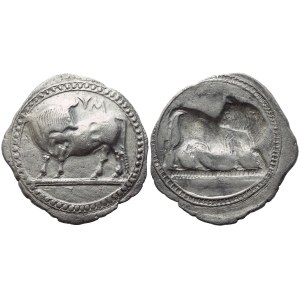 Lucania, Sybaris, Stater, 550-510 BC; AR (8,67 g; 30,3 mm)