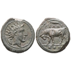Sicily, Gela, Tetras, c. 420-405 BC; Æ (3,34 g; 17,2 mm; 2 h)