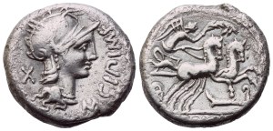 M. Cipius, Denarius, Rome, 115-114 BC; AR (3,85 g; 16,5 mm; 7 h)