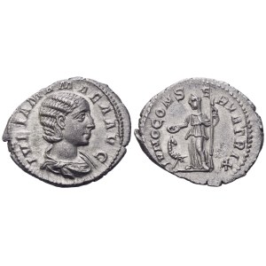 Julia Mamaea Augusta (222-235), denár vyrazený za Severa Alexandra, Rím, 222; AR (2,61 g; 20,3 mm; 6 h)
