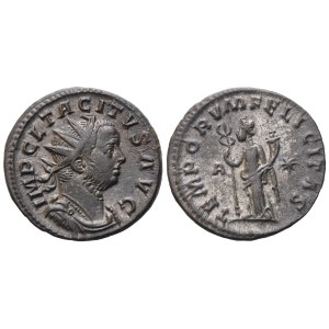 Tacitus (AD 275-276). Antoninianus, Lugdunum, 276; Silvered Æ (4,04 g; 21,3 mm; 6 h)