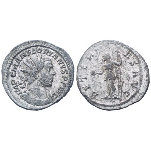 Florian (276), Antoninianus, Lugdunum, 276; BI (3,37 g; 22,8 mm; 6 h)