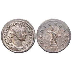 Florian (276), Antoninianus, Lugdunum; AR (3,55 g; 21,8 mm; 12 h)