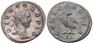 Divus Carus (died 283), Denarius struck under Carinus and Numerian, Lugdunum, 284; BI (4,41 g; 22,4 mm; 6 h)